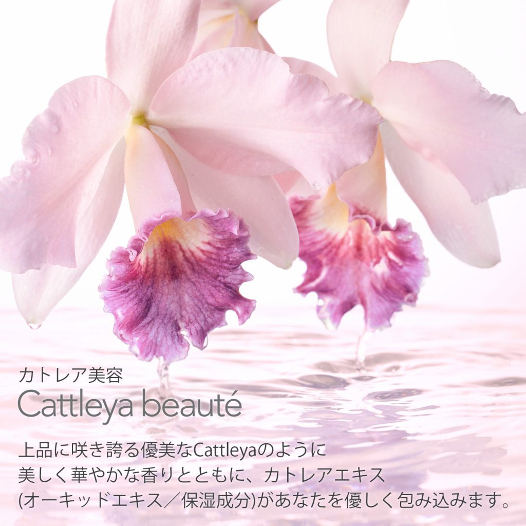 ナイト　モイスチャライザー＆オリジナルルームソックス　リアンマシェリ　ナイトモイスチャライザー45g / ルームソックス1組